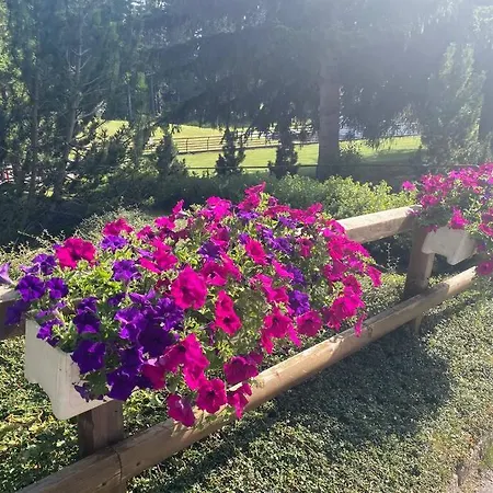 Appartamento Avec Jardin à Crans-Montana